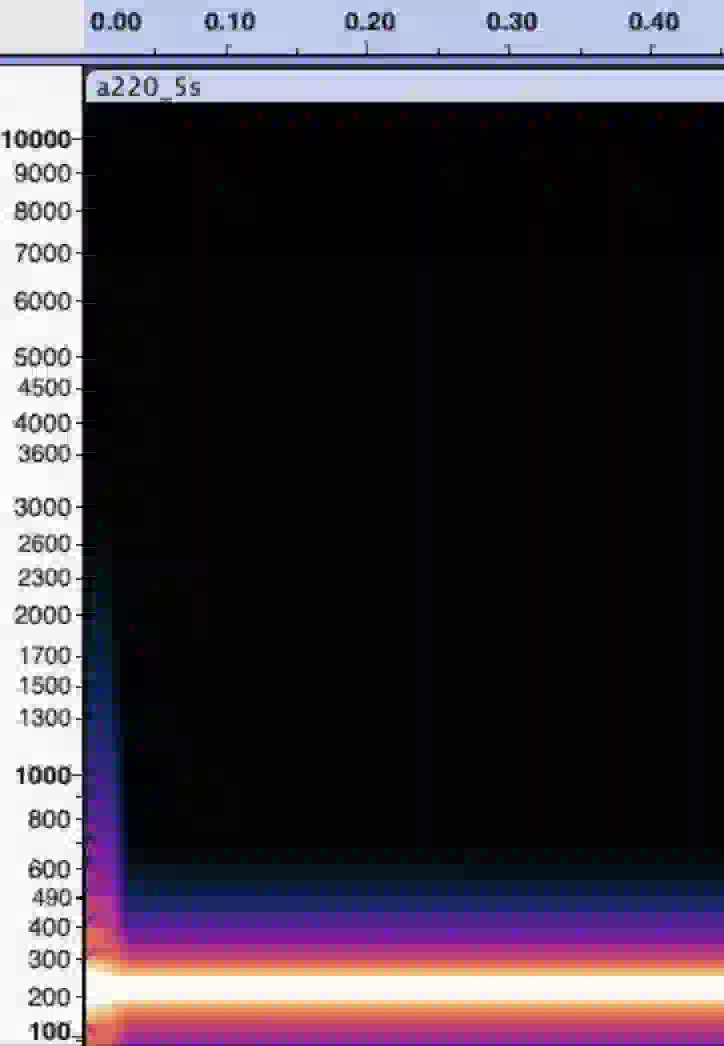 a spectrogram of a 220 Hz sine wave showing one steady bright horizontal band at 220 Hz across the whole time window, with black silence everywhere else on the frequency axis